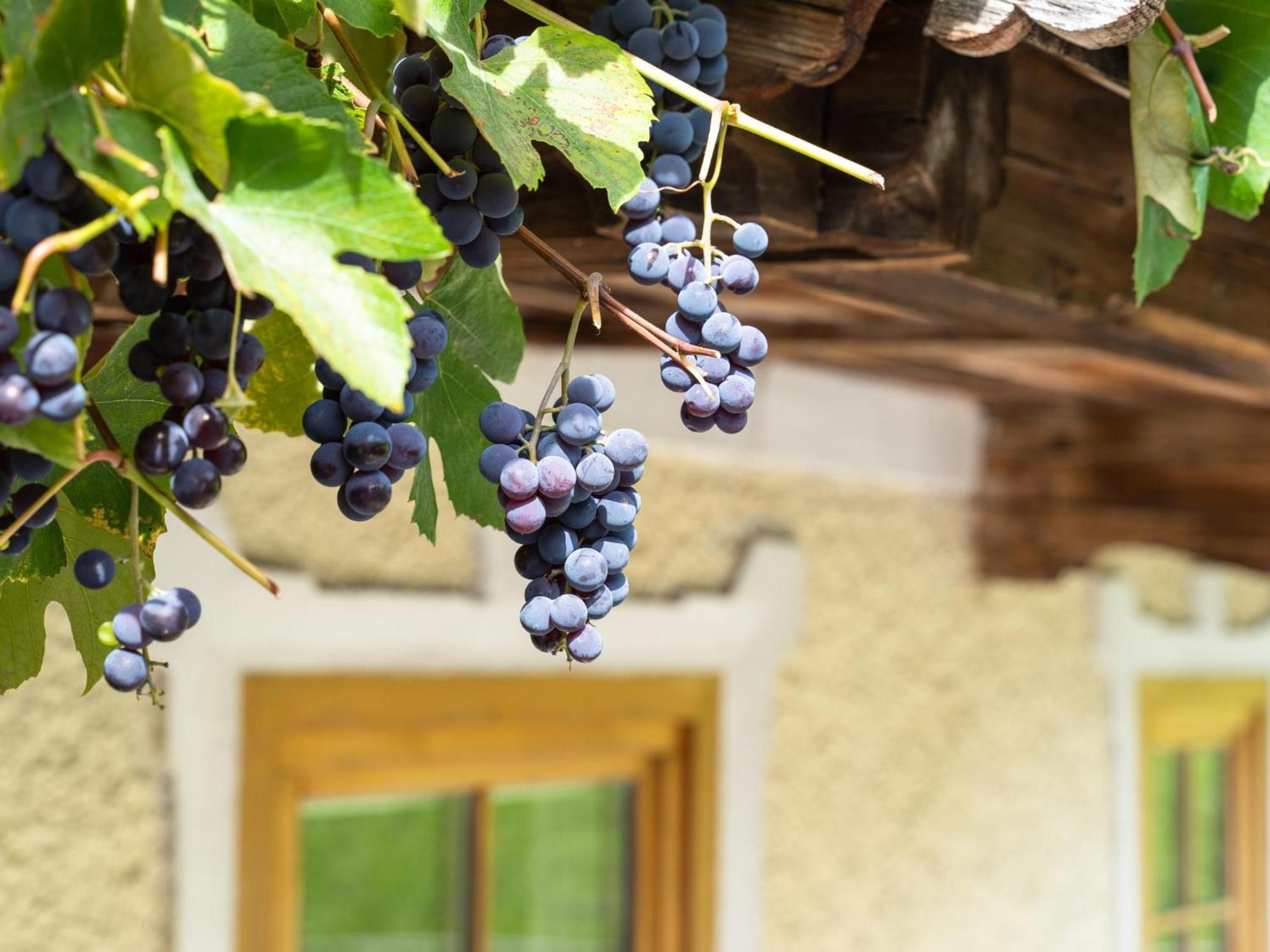 Chalet Anna Bruck am Ziller Exterior foto